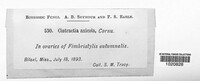 Image Associated With the Occurence